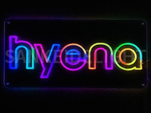 LEDネオンサイン｜ネオン看板のオーダー・製作事例（hyena/英字/rgb）
