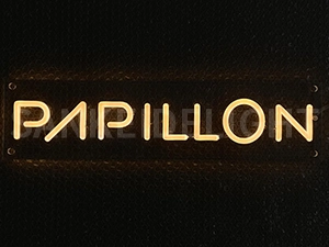 LEDネオンサイン｜ネオン看板のオーダー・製作事例（papillon/英字/ウォームホワイト）